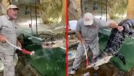 Malo je falilo da i sam postane hrana za reptile: Hranio krokodila ko da je mače