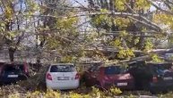 Snimak gotovo smrvljenih automobila koji su uništeni pod naletom jakog vetra u Beogradu