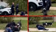 Policija ubila 3 pitbula jer su klali ljude po kraju: Stariji čovek jedva preživeo napad