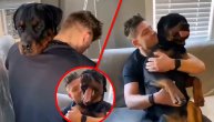Rotvajler sedi u krilu vlasnika, iako je maltene veći od njega: Nežni div misli da je pudlica