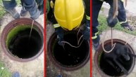 Akcija spasavanja psa iz šahta: Vatrogasci izvadili preplašeno stvorenje iz četiri metra dubine