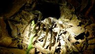 Došao tarantuli "na rupu": Ludo hrabar potez - vadio smrtonosnog pauka iz jame