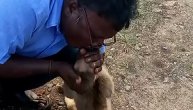 Herojski potez: Davao veštačko disanje majmunu, spasao ga od napada pasa