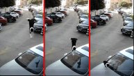 Ona ostala bez obroka, a vlasnik vozila bez šoferke: Mačka krala meso pa sa prozora pala na kola