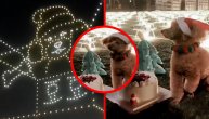 Proslavu snimalo 520 dronova, a srećni slavljenik bio je pas: Rođendan od milion dinara