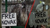 Emui i kakadu poručuju složno: "Free Novak"