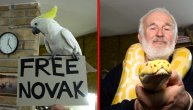 Papagaj Koki ima 26 godina, lomi orah kljunom: Evo kako ljubi i pijucka kafu sa vlasnikom Slavkom