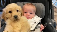Sve rade zajedno: Beba i pas najbolji prijatelji od prvog dana života