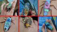 Bubašvabe kao umetnička dela: Devojka oslikava insekte, neki joj se dive, a neki se gade