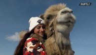 Kupili životinju direktno iz cirkusa: Dvogrba kamila kao kućni ljubimac