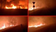 Stravičan požar u okolini Futoga: Ljudi beže pred vatrenom stihijom