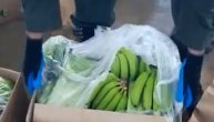 U bananama krili 1.4 tone kokaina: Kolumbijska policija opet stala na put "Balkanskom kartelu"