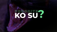 Pogodite ko su: Njihovi zubi seku i najjače metale a zbog krika koji ispuštaju noću ih zovu "đavoli"
