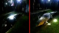 Krokodil im pojeo komšiju pa hteli da ga osvete: Da li su za vlast bitnije životinje ili ljudi?