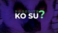 Zovu ih "duhovi noći", žive u matrijarhatu a njihov dom je Madagaskar: Pogodite ko su?