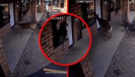 Jelenski stampedo usred grada: Krdo projurilo po bašti kafića, jedno grlo uletelo kroz prozor