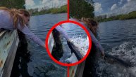 Tarpin je zgrabio za ruku, jedva se spasila: Mamila ribu pa zamalo i sama postala hrana
