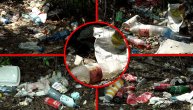 Sramota: Smeće u zelenoj oazi u Malom Mokrom Lugu