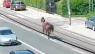 "Zbrisao" sa treninga, jurili ga ulicom da ga vrate na obližnji hipodrom: Osedlan konj trči Požeškom