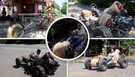 Balvan na točkovima: Kinez izumeo automobil od drveta