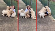 Štenci ugledali vlasnika i zavrteli repiće kao da će od sreće da polete: Ovo je video dana