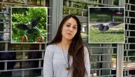 Ovu gospođicu je napala vrana na Zvezdari: Uspela sam da se odbranim