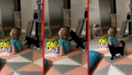 Da li želi da se mazi ili da se bije: Mačak hteo da privuče pažnju dečaka, pa izveo kung fu