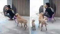 Kuče za vlasnika uradilo nešto što mnogim ljudima ne bi palo na pamet