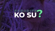 Ovo su "najsrećnije životinje na svetu" jer je na njihovom licu uvek osmeh: Pogodite ko su?