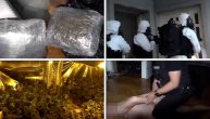 Novo hapšenje zbog droge: Otkrivena labaratorija marihuane