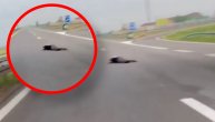 Užasan prizor na auto-putu BG-NS: Čovek leži nasred kolovoza, sumnja se da je pao sa nadvožnjaka