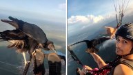Priča o prijateljstvu čoveka i lešinara: Upoznali se na nebesima pa sada krstare zajedno