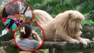 Lav sa frizurom ladna trajna: Zoo vrt tvrdi da ga nisu šišali