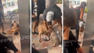 Pitbul napao malog psa, zgrabio ga u česljusti iz krila vlasnice: Stravična borba za život mališe