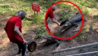 Deda olešio krokodila tiganjem po glavi jer mu je upao na posed: Zver pobegla kao kukavica