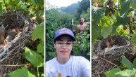 Devojka za primer: Memedovićeva ćerka bere maline na porodičnom imanju u Rači