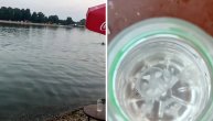 Meduze na Adi Ciganliji: Slatkovodna vrsta naselila beogradsko "more"
