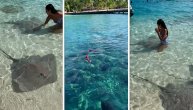 Da li biste se usudili da plivate sa ajkulama i ražama? Jovana je dovoljno hrabra da se oproba u oba