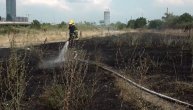 Opet gorelo rastinje ispod Gazele: Vatrogasci na licu mesta gase požar