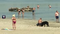Visoke temperature i toplotni talas u Srbiji: Građani se rashlađuju na plaži Lido u Zemunu
