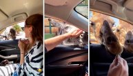 Srpska glumica imala iznenađenje na odmoru: U auto joj upao magarac