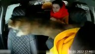 Ženi iz torbe iskočila mačka i završila na šoferšajnbi taksija: Moglo je da se završi tragično