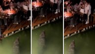 Ne daj bože da se neko zatetura: Krokodil "merka" goste na splavu