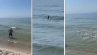 Plivale svega pedesetak metara od obale: Panika na plaži, ponovo viđene ajkule