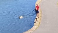 Dok jedan pored vlasnice hoda, drugi kraj njih pliva: Najčudnija šetnja pasa na svetu