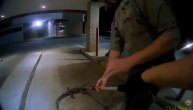 Policija uhvatila razjarenog aligatora na benzinskoj pumpi: Prestravio ženu dok je dizala novac