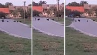 Psi kidisali na dete koje je vozilo bicikl: Vlasnik kučića mirno sedeo i posmatrao strašnu scenu