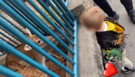Hoću sad i "krokodilovi": Mali Željko uživao u Zoo vrtu, hranio laniće