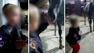 Preslatka reakcija malog Željka Ražnatovića dok hrani velikog crnog konja