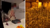 Pala EX-YU grupa kriminalaca u Španiji, među njima i Srbin: Imali su plantaže marihuane